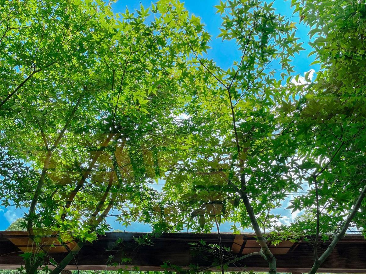 Kappo Ryokan Yumesaki Бепу Екстериор снимка
